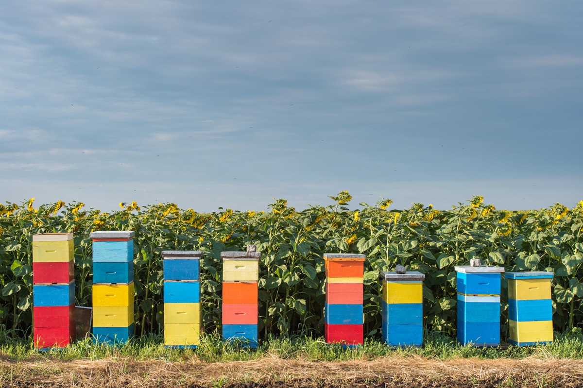 Einladung zur Fachtagung: Biodiversität im Lebensmitteleinzelhandel (LEH)