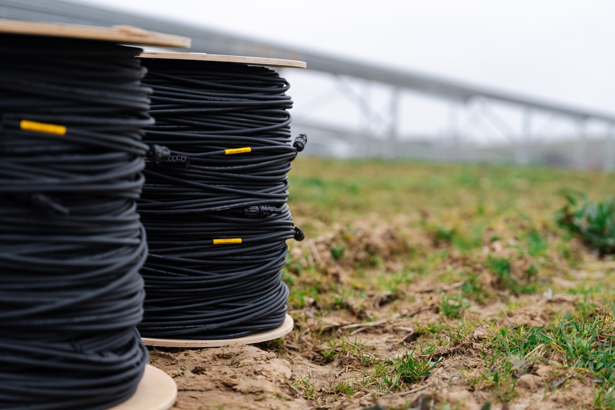 HIS Renewables beschleunigt den Bau anspruchsvoller Photovoltaikprojekte durch individuelle Kabelkonfektion und innovative Lösungen