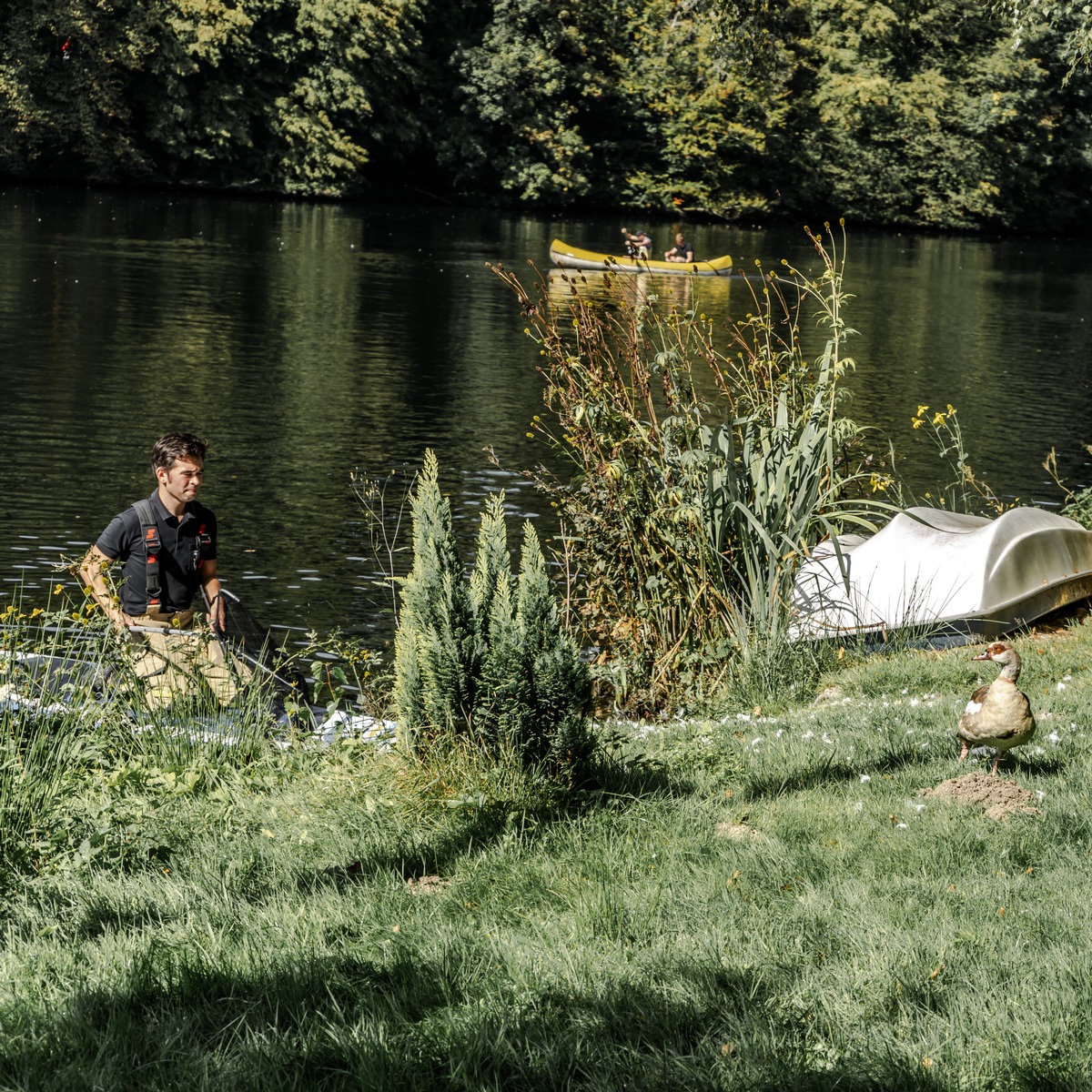 FW-EN: Ungewöhnliches Bild am Beyenburger Stausee: Feuerwehr versucht eine Ente mit Stand Up Paddle zu retten.