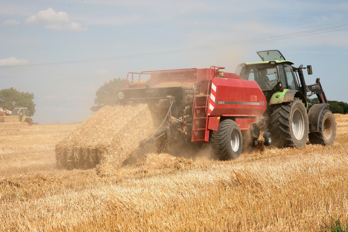 DBU: Chancen der Digitalisierung für eine  nachhaltige Landwirtschaft