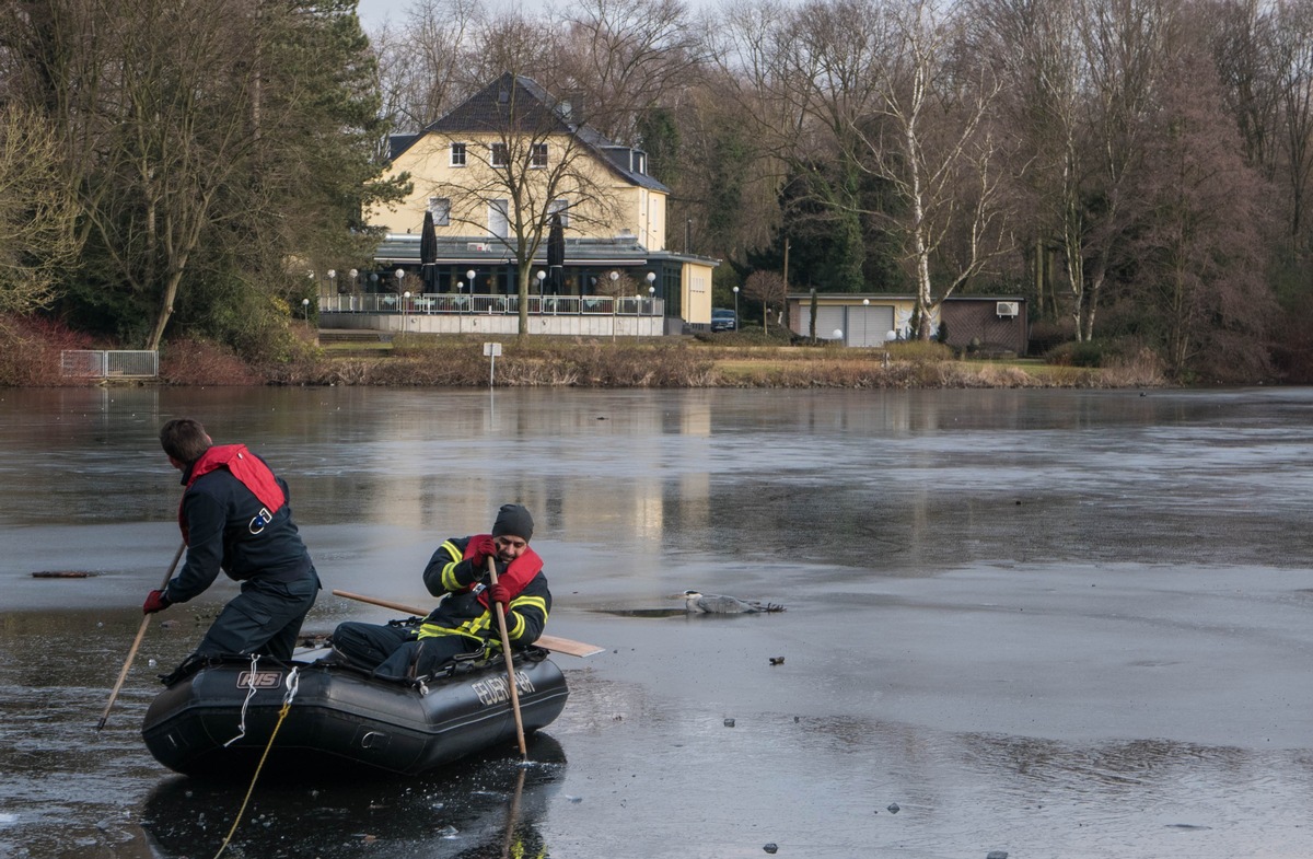 FW-GE: Tierrettung im Revierpark Nienhausen - Feuerwehr rettet verletzten Reiher