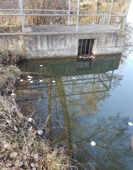 POL-LB: Vaihingen an der Enz - Horrheim: Unbekannte vermüllen Horrheimer See