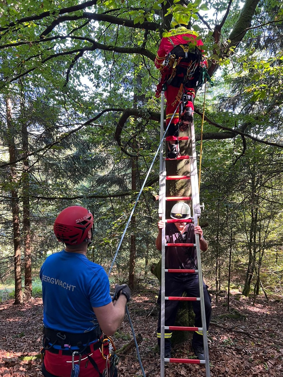 FF Olsberg: Gleitschirmflieger aus Baum gerettet