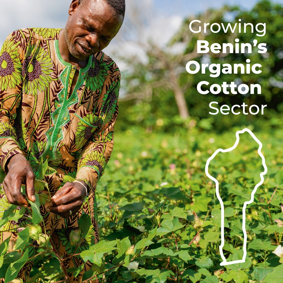 Cotton Farmers in Benin Benefit From Organic Cotton Cultivation