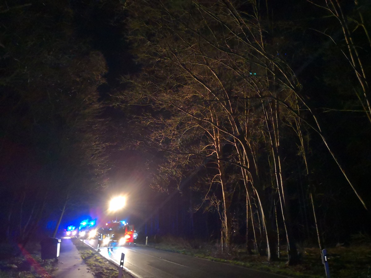 POL-NI: Orkantief &quot;Victoria&quot; stürzt Baum auf fahrenden Pkw / Vollsperrung Landesstraße