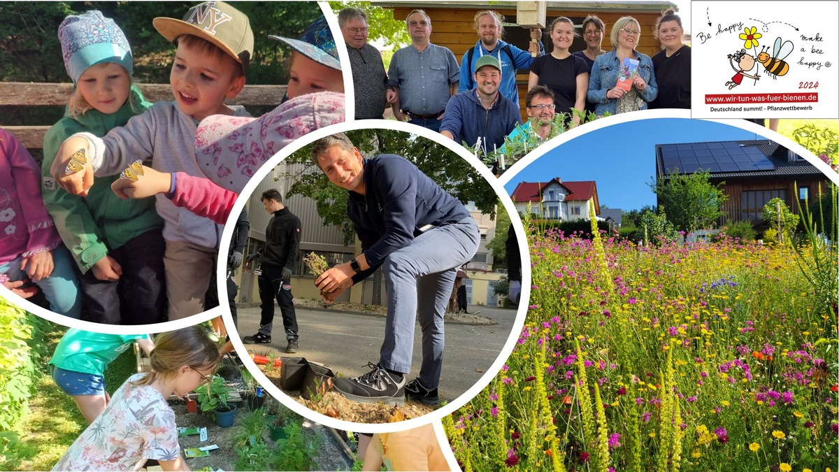 🌱🐝🏆Deutschland summt!-Pflanzwettbewerb: Acht-Wochen-Challenge 💪💪💪