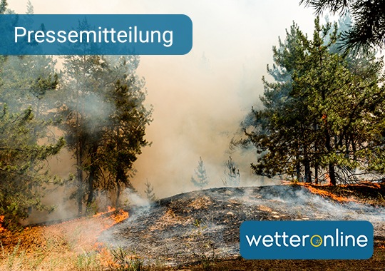 Waldbrandgefahr nimmt zu - Mensch für den Wald derzeit größte Gefahr