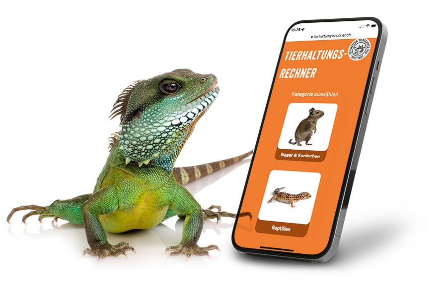 Medienmitteilung: Fast 60 000 tierquälerische Reptilienhaltungen in der Schweiz: Ein neues Online-Tool berechnet optimale Tierhaltung