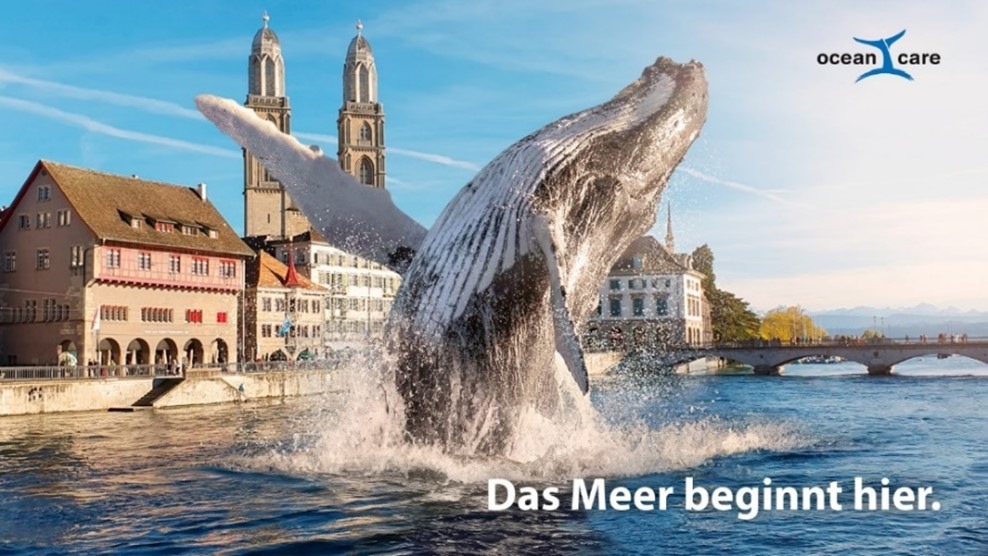 World Cleanup Day 2023: Aufräumaktion entlang der Zürcher Abfallmeile