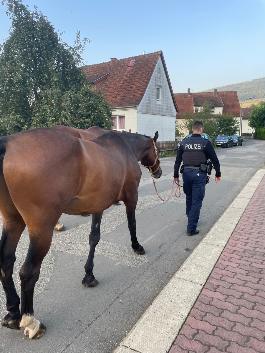 BPOL-KL: Freilaufendes Pferd an Bahnstrecke eingefangen