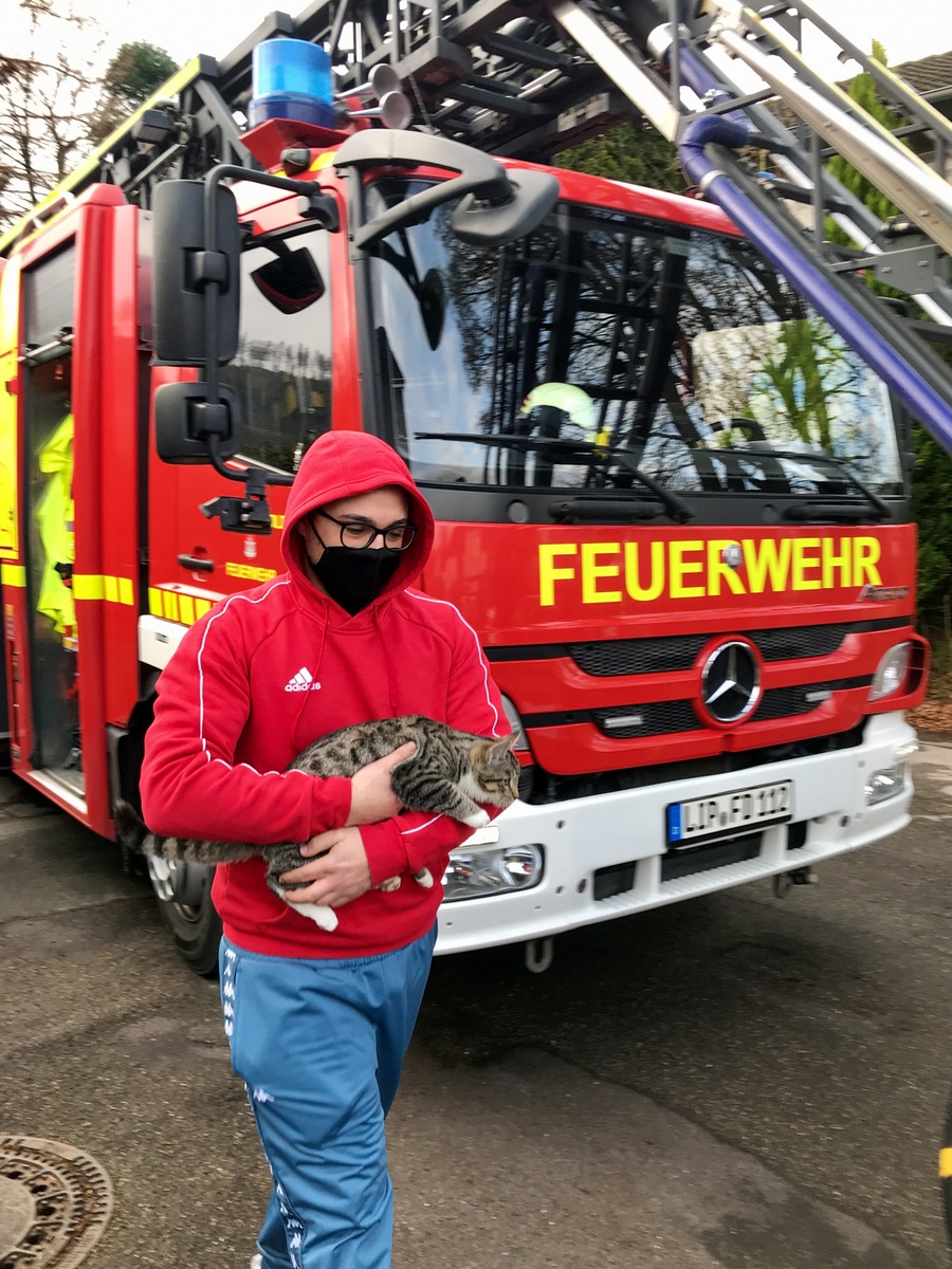 FW-DT: Tierrettung - Katze auf Baum