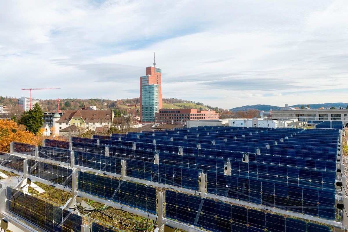 Senkrechte Solaranlage und kühlendes Gründach ergänzen sich ideal