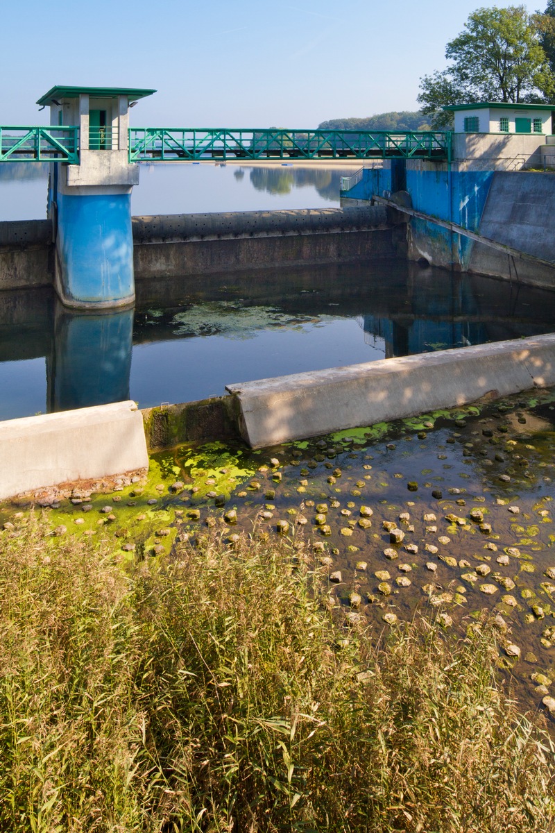 Bundesratsstellungnahme zur Blueprint-Strategie / VKU: Qualitätsziele sind wichtiger als Wassersparen (BILD)