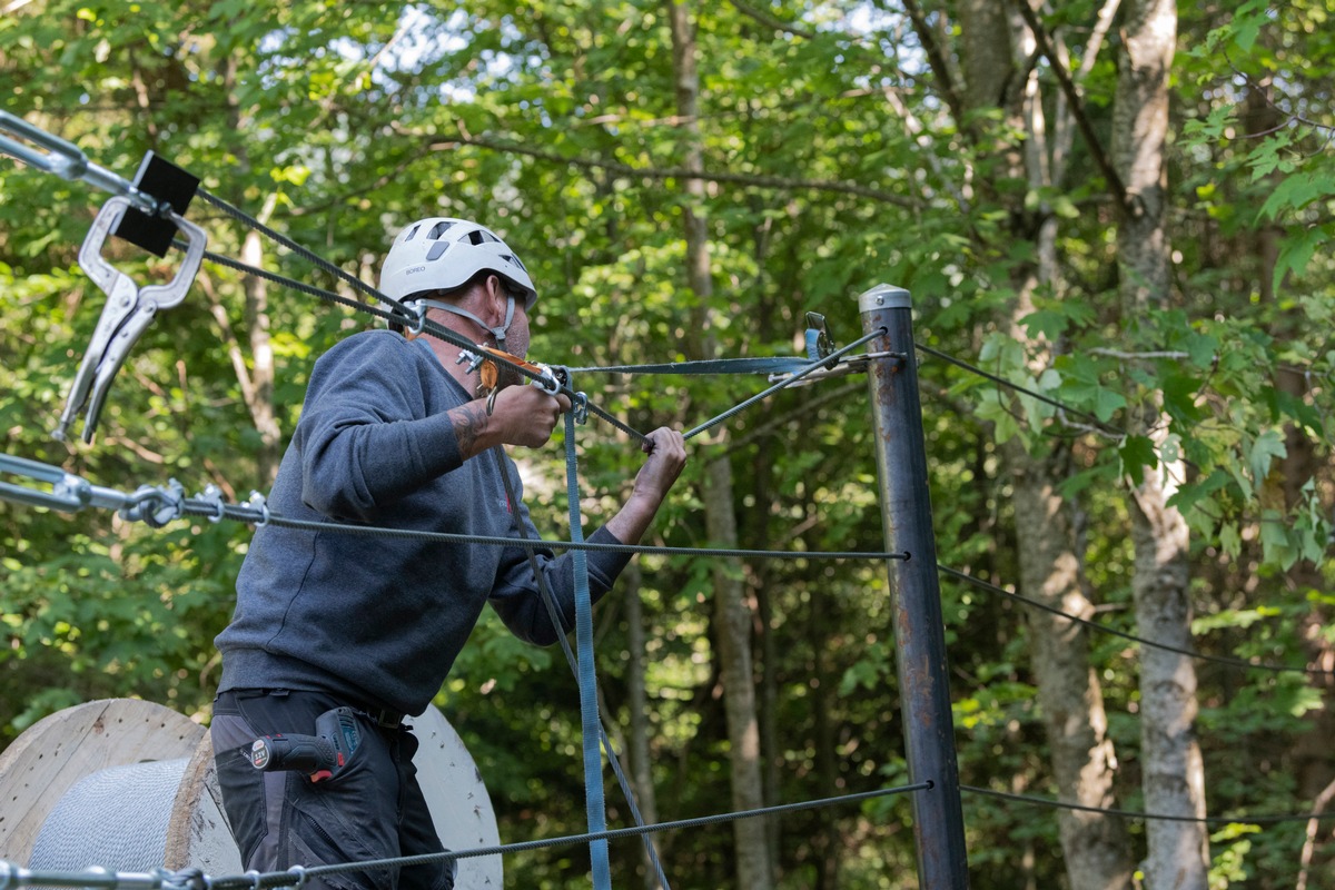 Wiederansiedlung von Wisenten im Solothurner Jura