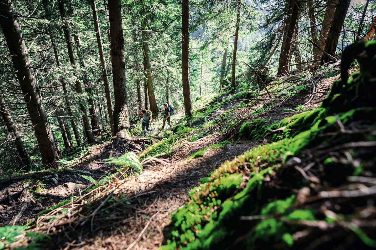 Natur, Wasser und Wildtiere - Die Glücksformel für mehr Wohlbefinden im Allgäu