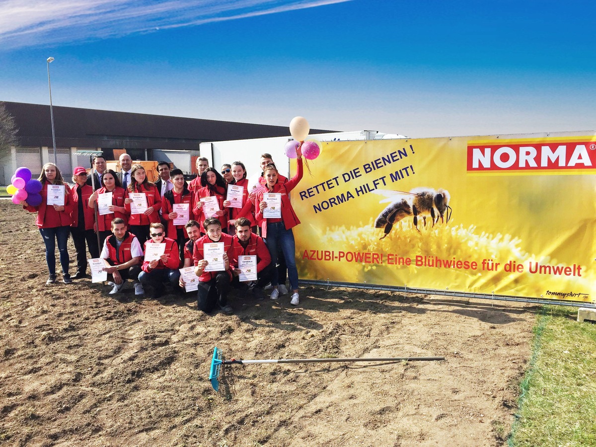 NORMA: Auszubildende in Dettingen schenken den Bienen eine bunte Blumenwiese / Erste Niederlassung wandelt ungenutzte Freifläche in Lebensraum um (FOTO)