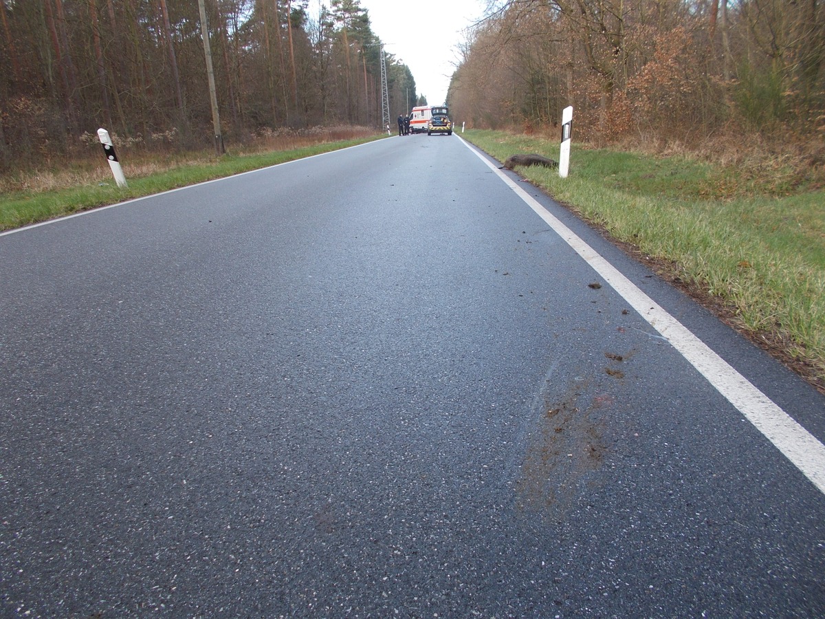 POL-PDLD: Schwerer Wildunfall mit Motorradfahrer