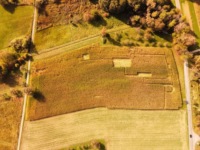 POL-KN: (Konstanz-Dingelsdorf) Unbekannte beschädigen Maisfeld (15./16.10.2021)