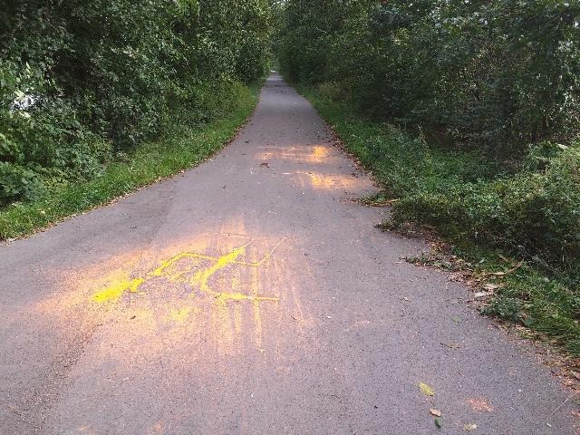 POL-EL: Lingen - Geh- und Radweg am Dieksee mit Hakenkreuzen beschmiert