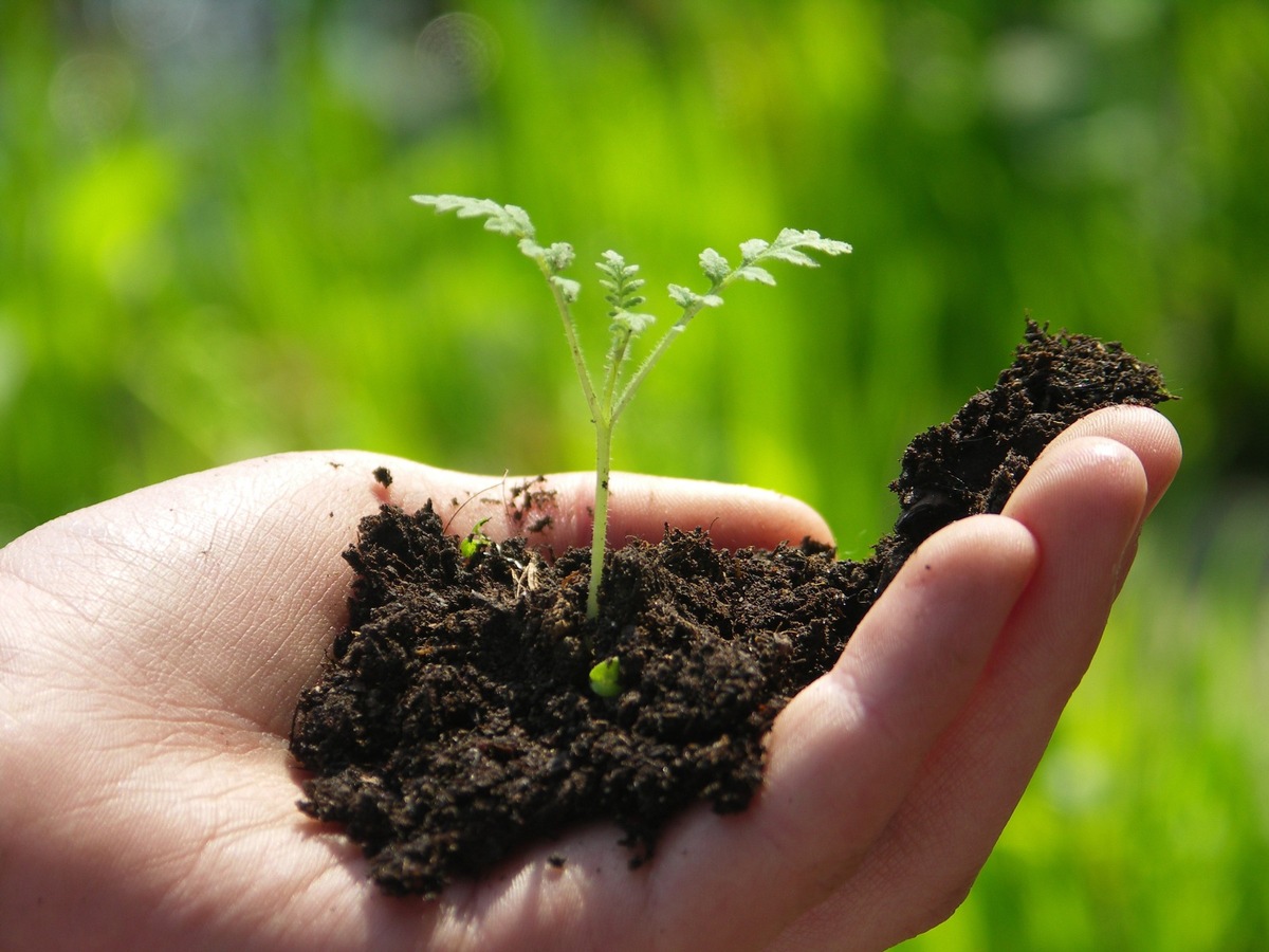 Digitales Werkzeug für klimaschonende Beschlüsse von Kommunen - DBU fördert Vorhaben