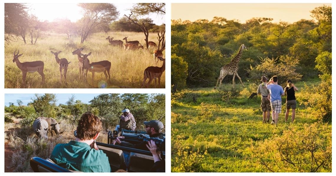 Familiensafari in Südafrika – leuchtende Kinderaugen garantiert