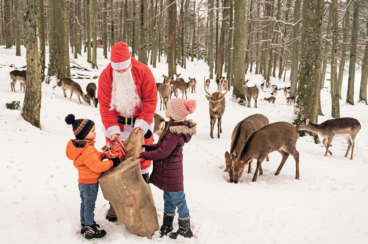 WinterWunderWald im Wildparadies Tripsdrill