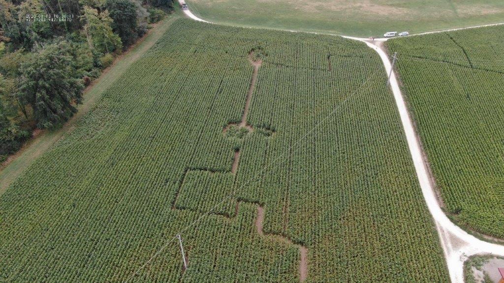 POL-FR: Efringen-Kirchen: Labyrinth in Maisfeld - Sachbeschädigung - Zeugensuche