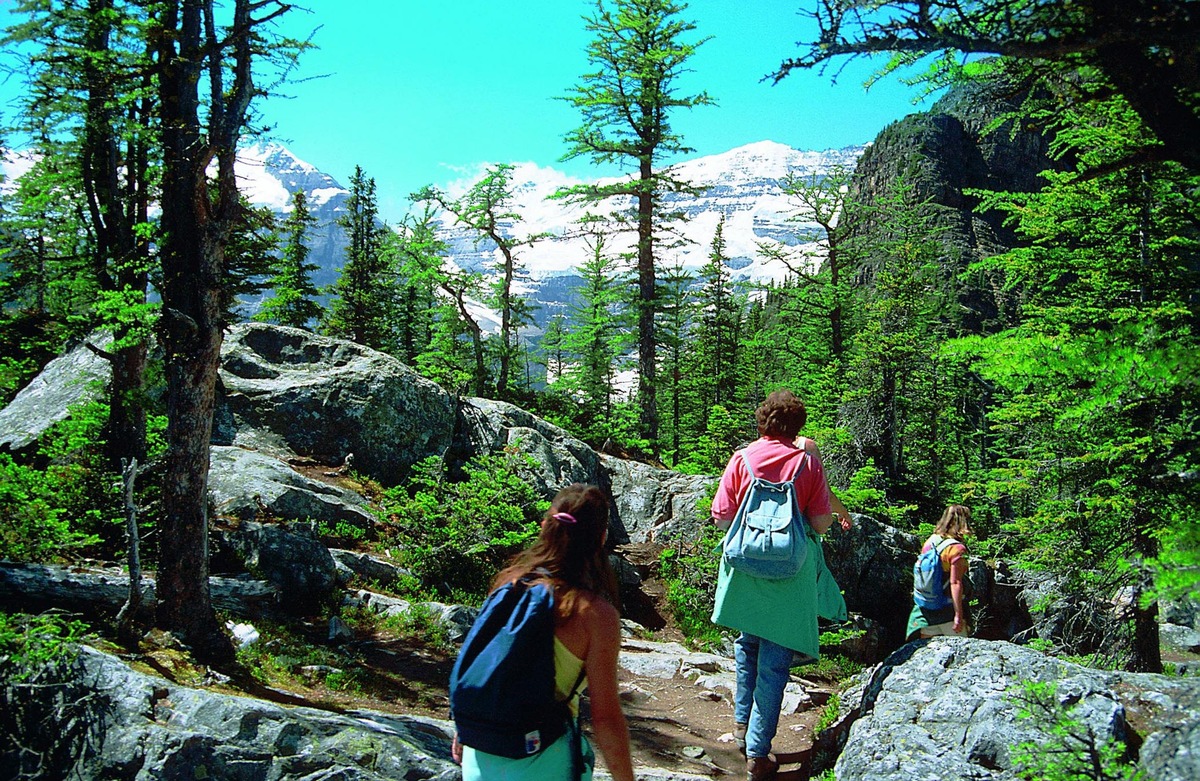 Kanadische Traumroute: von den Rockies nach Vancouver Island - Natur pur - wahlweise als Zelt- oder Hotelrundreise