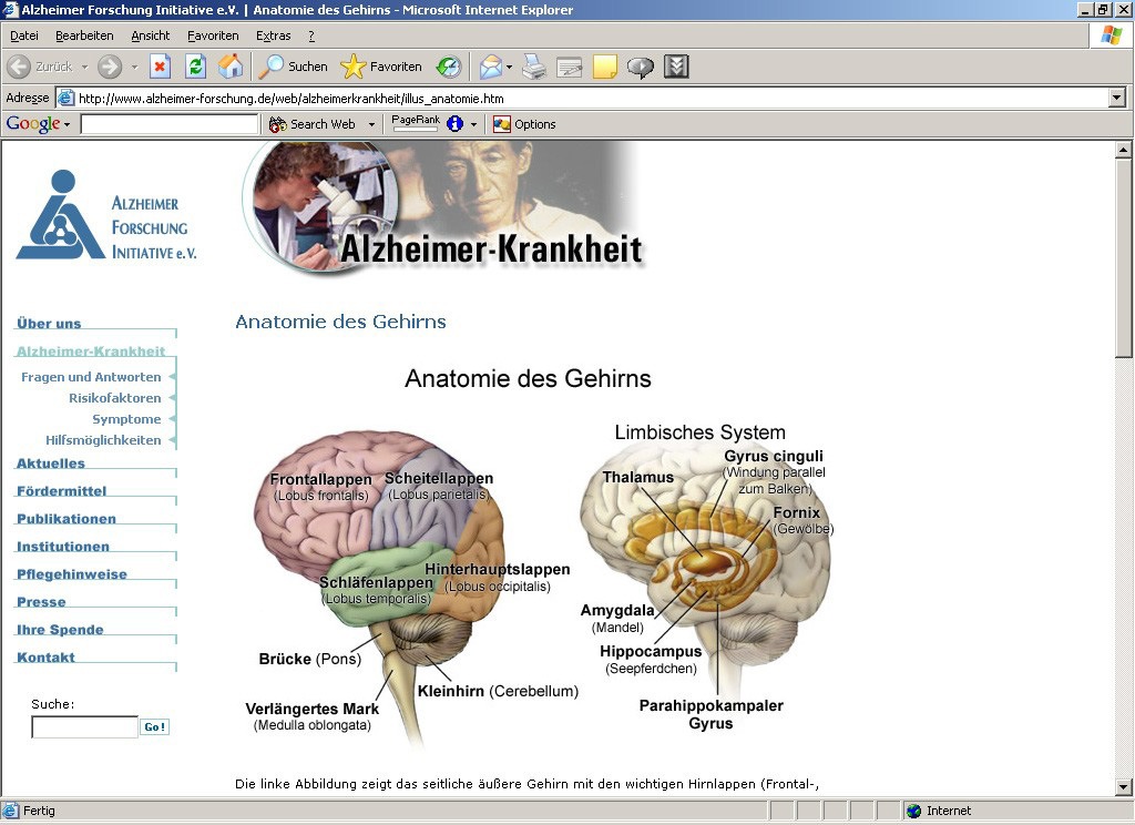 10 Jahre Alzheimer Forschung Initiative e.V. - Neuer Internetauftritt