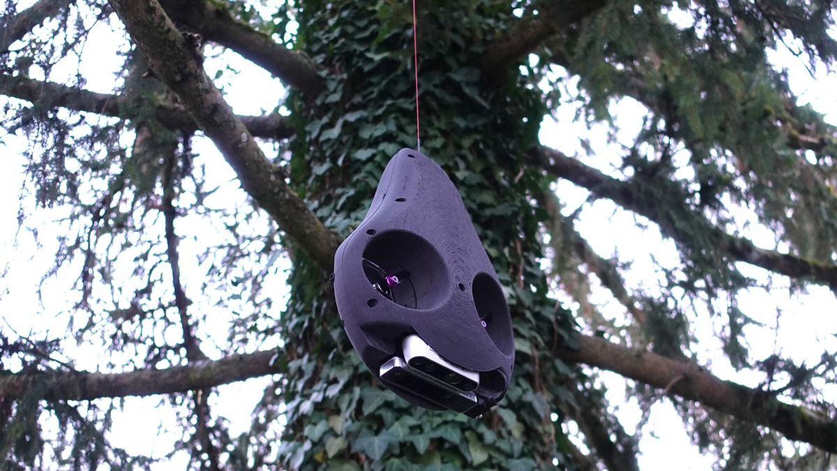 Robot swings its way to unexplored treetops