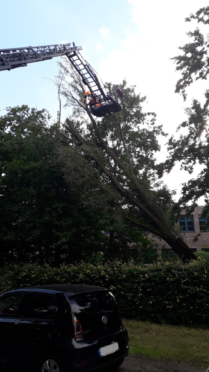 FW-WRN: TH_1 - Gefahrenstelle Gehweg / Baum in anderen Baum gekippt