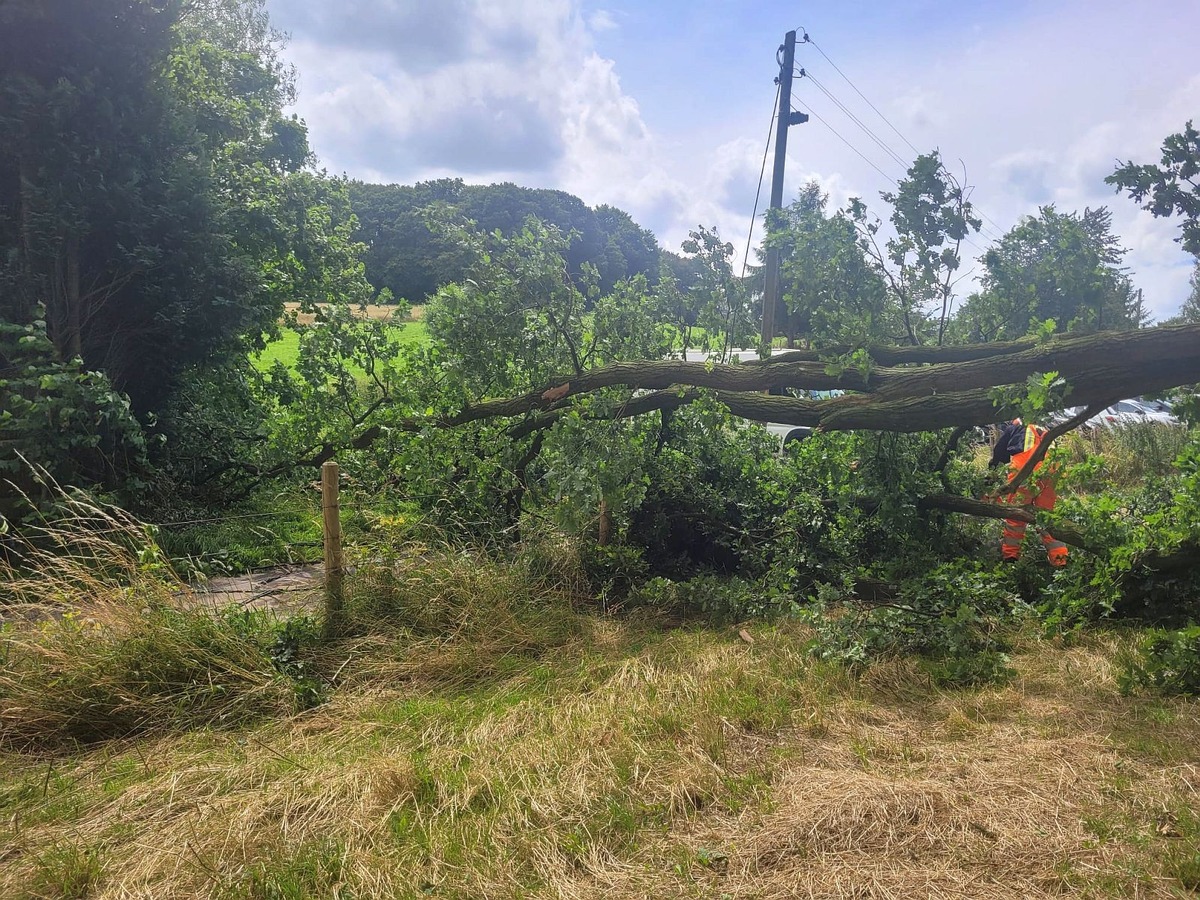 FW Sonsbeck: Drei Einsätze für die Feuerwehr Sonsbeck - Zwei Stromleitungen beschädigt