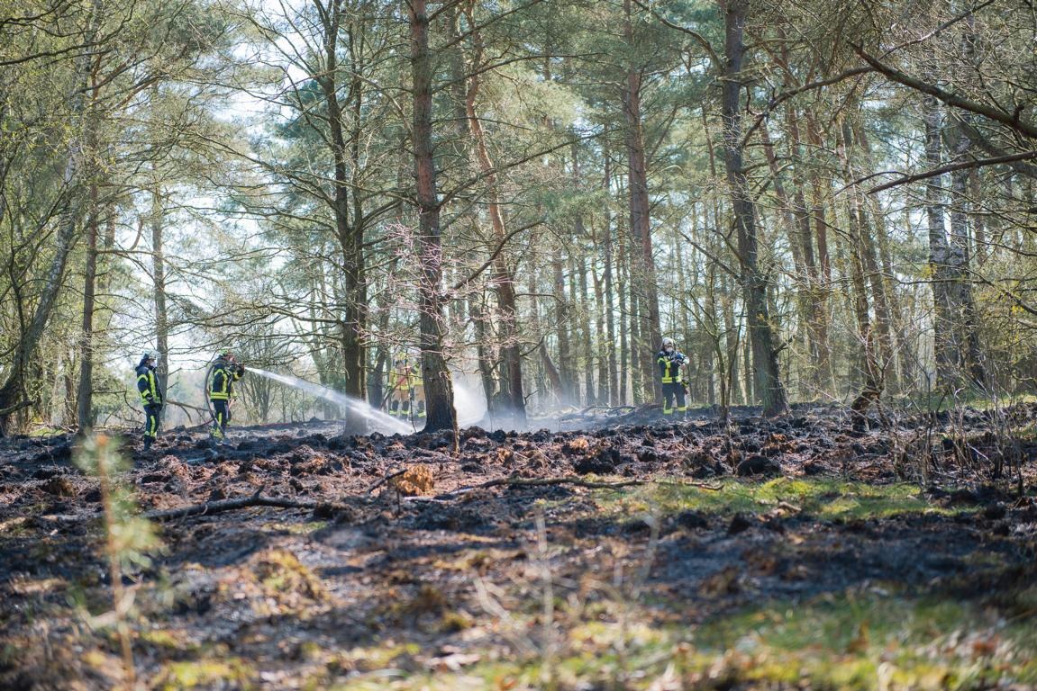 FW-SE: Flächenbrand in der &quot;Barker Heide&quot;