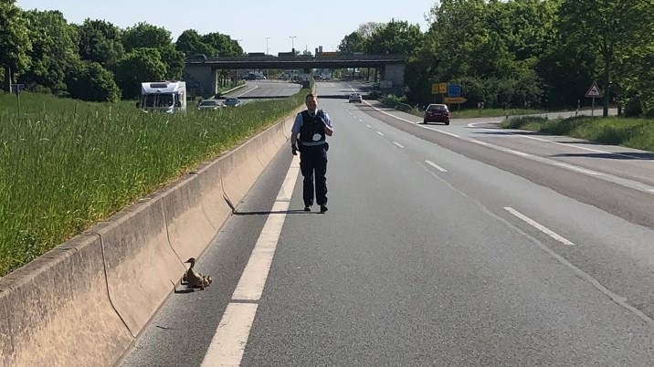 POL-PB: Und noch ein tierischer Einsatz