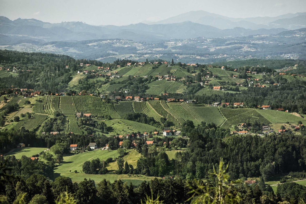 Steirische Riedenweine im Vergleich