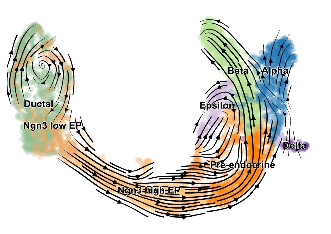 AI &amp; single-cell genomics: New software predicts cell fate