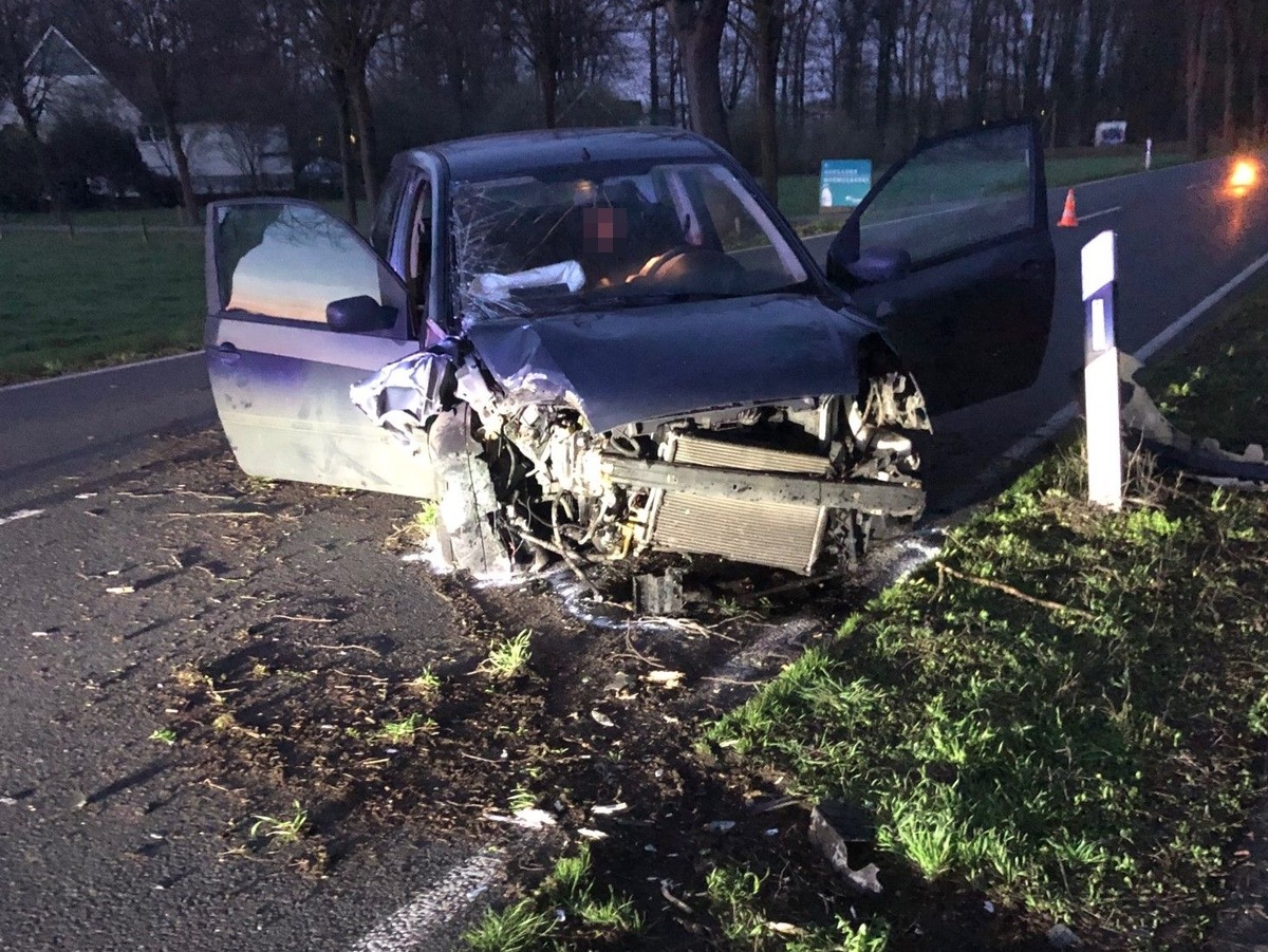 POL-BI: Fiesta kollidiert mit Baum - zwei Schwerverletzte