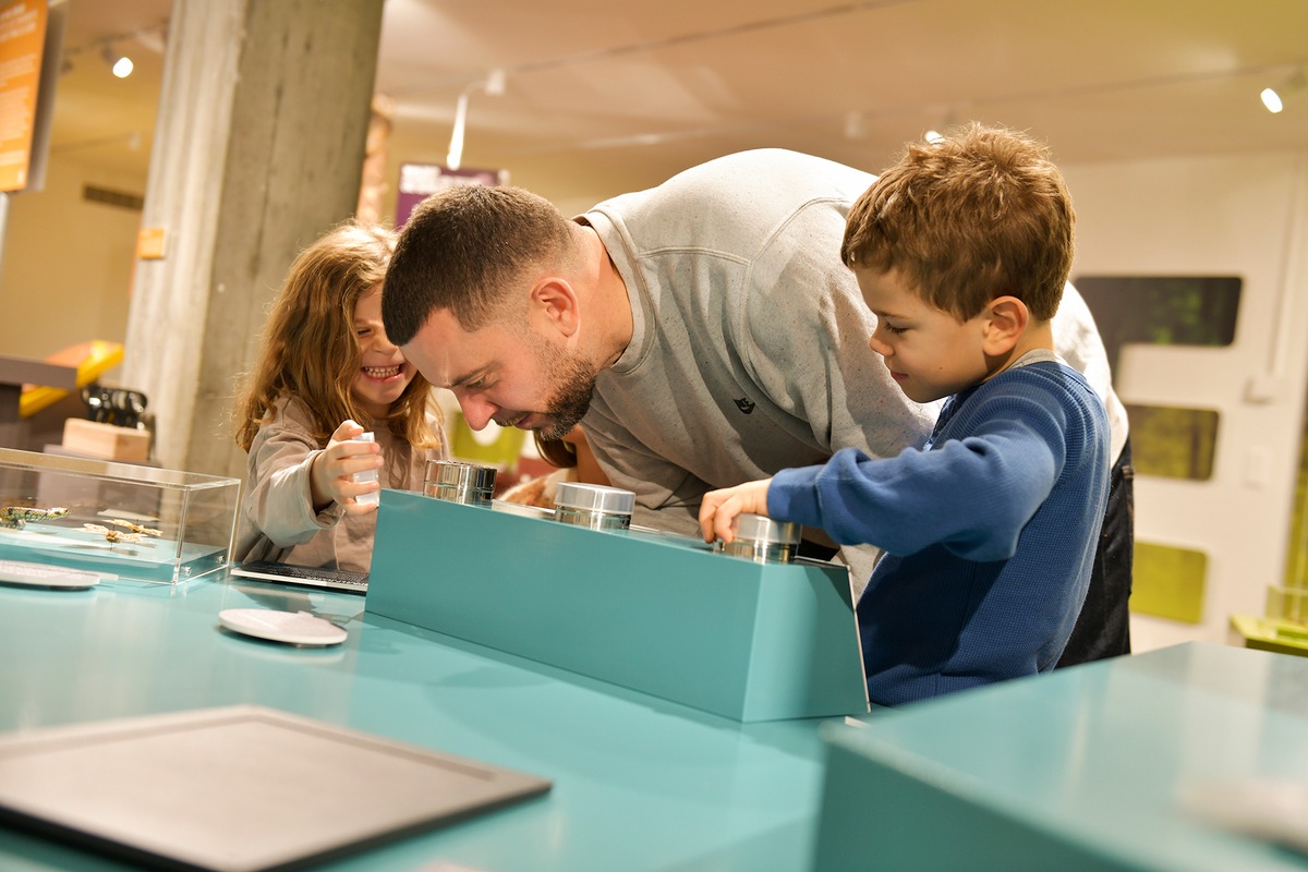 Grosses Interesse am Naturmuseum