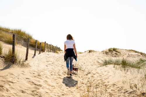 Interhome-Studie: Urlaub mit Hund - die beliebtesten Reiseländer der Deutschen