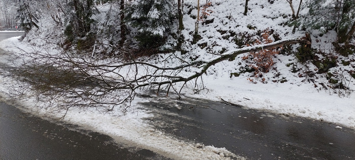 FW-EN: Fahrbahn durch Baum blockiert