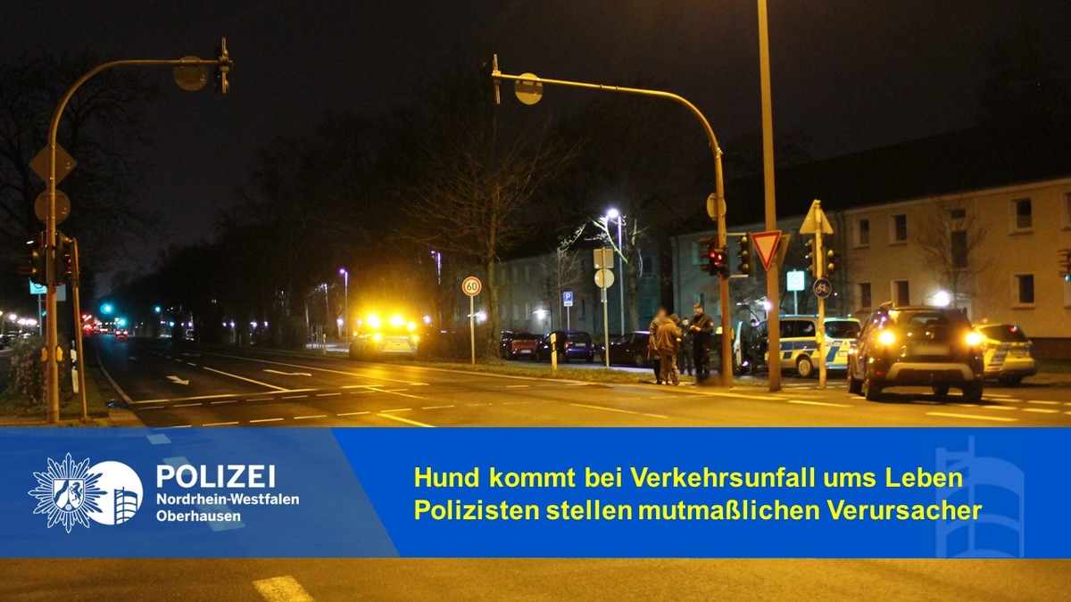 POL-OB: Hund kommt bei Verkehrsunfall ums Leben / Polizisten stellen mutmaßlichen Verursacher