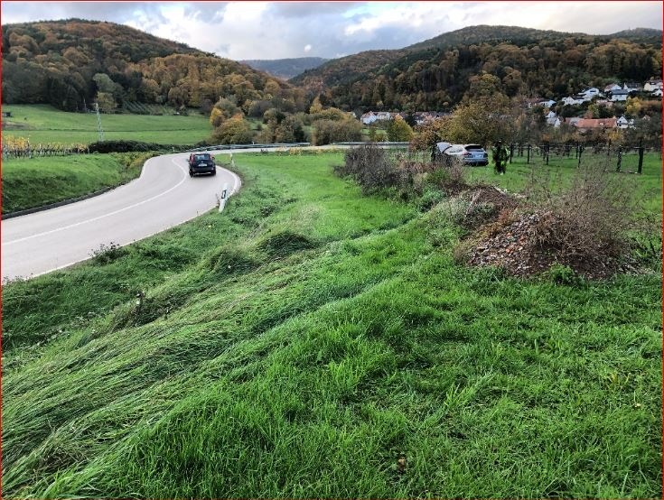 POL-PDLD: Oberotterbach - B38 Porschefahrer verliert Kontrolle - hoher Sachschaden