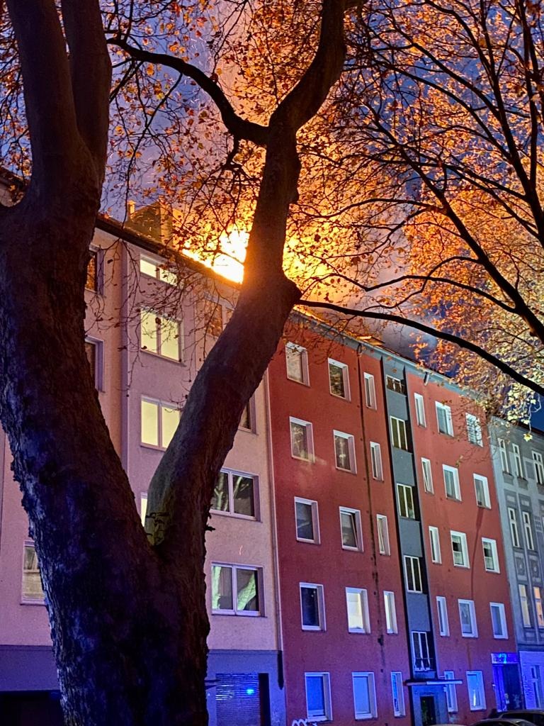 FW-DO: Feuer in Dortmunder Nordstadt - Flammen schlugen aus dem Dach