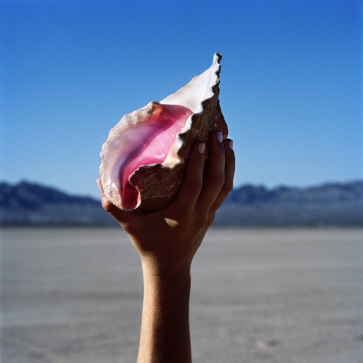 THE KILLERS - Neues Album WONDERFUL WONDERFUL erscheint am 22. September + Neue Single RUN FOR COVER