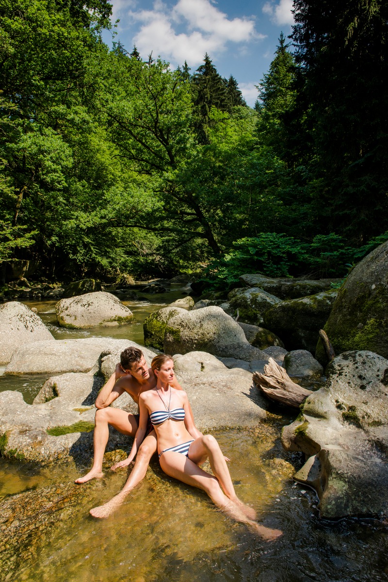 Kühle Erfrischung im Mühlviertel in Teich, See und Fluss - BILD