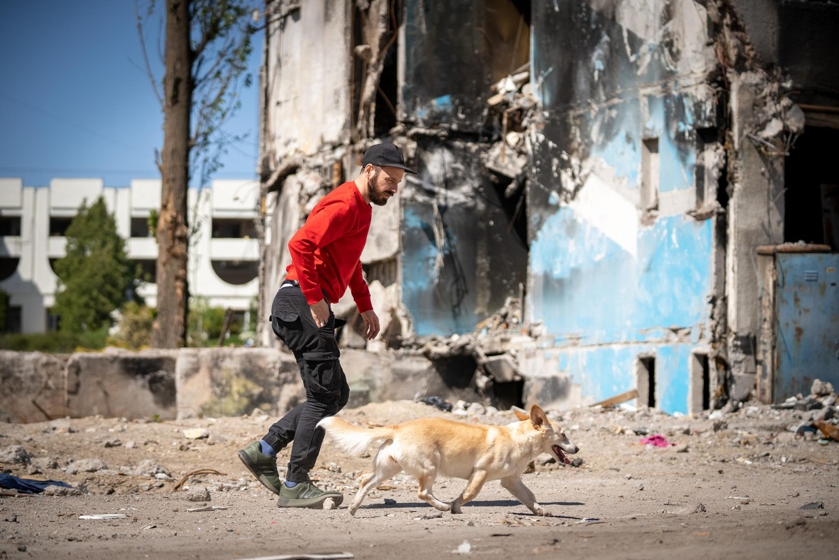 Des soins pour les animaux errants dans les rues de Bucha et d&#039;autres villes ukrainiennes