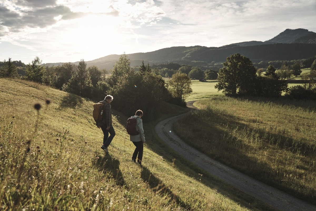 Die Natur in der Tasche: der neue CL Pocket von Swarovski Optik