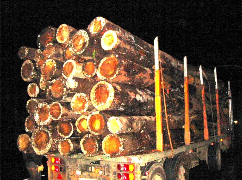 POL-NOM: Holztransporter mit fast 60 Tonnen