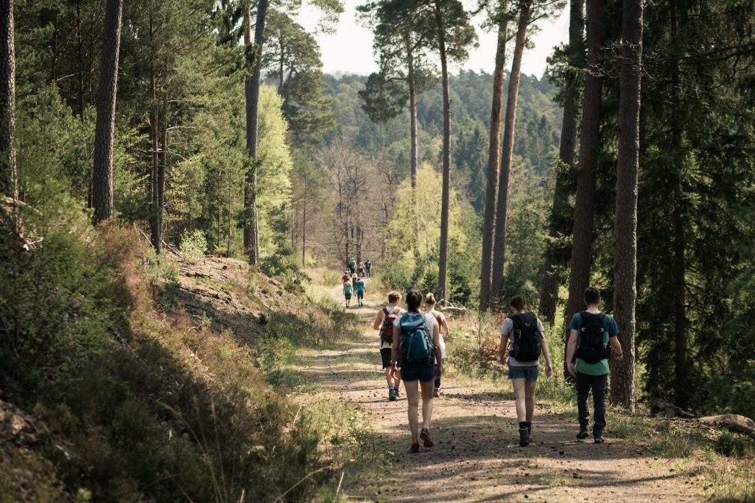 Uni-Villa-Wanderung der RPTU findet am 29. April statt