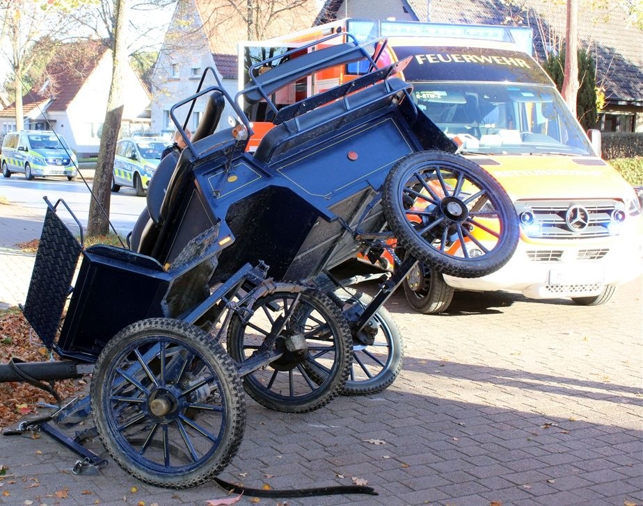 POL-MI: Pferde gehen durch: Kutschfahrt endet an Baum